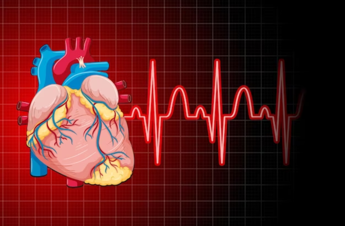 Cardiology: Heart Disease, Diagnosis, and Treatment